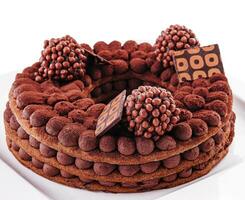 Tiramisu cake with chocolate decoration on a plate photo