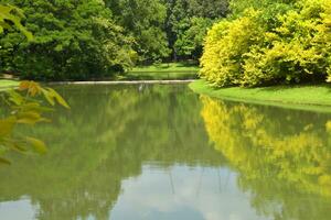 landscape lake and green trees beauty nature in garden Bangkok  Thailand photo