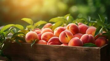 fresh peaches in a wooden box on a table AI Generative photo