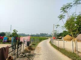 A beautiful small street in a village in Bangladesh photo