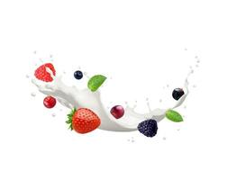 Milk yogurt, dessert or cream splash with berries vector