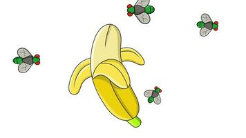 animation de une banane étant attaqué par mouches video