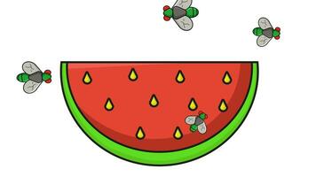 Animation of a piece of watermelon being attacked by flies video