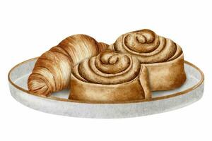 Croissant and spiraled cinnamon rolls on a plate. Bakery food concept. Watercolor illustration. vector