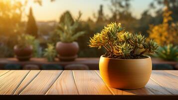 cactus plant in vas photo realistic on evening sun AI Generated