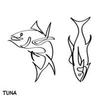 line art vector of tuna fish.