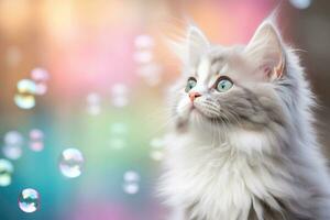 Close-up of cute cat gazing at something with beautiful bokeh background, Generative AI photo