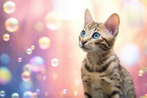 AI generated Close-up of cute cat gazing at something with beautiful bokeh background, Generative AI photo