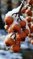 Fruta congelar invierno escarcha historia antecedentes ai generado foto