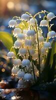 Lily of the valley flower on winter snow evening sun AI generated photo