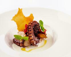 Grilled octopus on plate on white photo