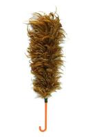 Feather broom, Soft duster with plastic handle on white background photo
