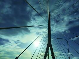 hermosa rama viii puente. foto