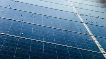 sucio solar célula paneles cuales fueron causado por pájaro caca foto