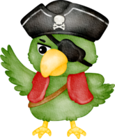 acquerello pirata pappagallo png