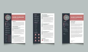 Professional Resume Layout with CV Template Design vector