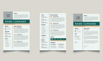 Creativity Resume Design Jobs CV Template vector