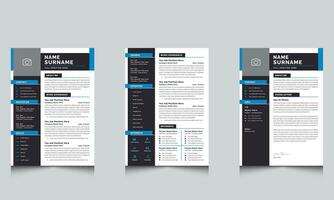 Modern and Professional Resume Design Cv Template vector