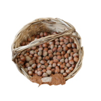 Lying wicker basket full of hazelnuts- png