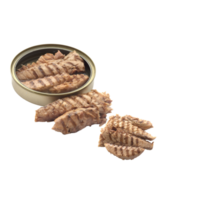 Mackerel in oil png