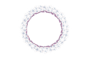 circle light frame Isolate on transparent background PNG file