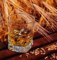 glass of whiskey with ice in a wheat field photo