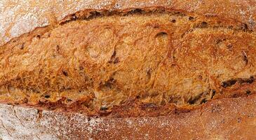 Loaf of organic bread close up photo