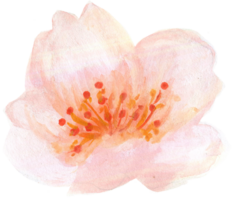 Elemente isoliert Glücklich Reich Zeichen Symbol glücklich Mond- Neu Jahr Blume Tier blühen Geld Aquarell png