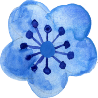 Elemente isoliert Glücklich Reich Zeichen Symbol glücklich Mond- Neu Jahr Blume Tier blühen Geld Aquarell png