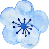 element isolerat tur- rik tecken symbol Lycklig lunar ny år blomma djur- blomma pengar vattenfärg png