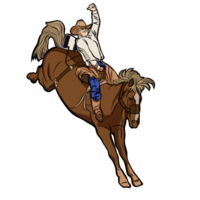 western rodeo riding horse png