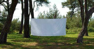 A white sheet hangs on a rope between the trees. Background for trendy titles. The concept of tranquility, Background for titles independent cinema. video