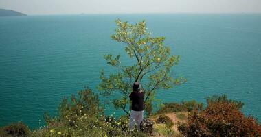 un mujer escoge Fruta desde un árbol en el costa. un solitario manzana árbol en el costa en el Mediterráneo mar. video