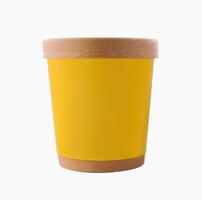 Ice Cream in paper cup on White Background photo