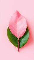 AI generated 4K colorful leaf AMOLED wallpaper photo