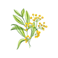 primavera ramo de flores con amarillo flores y verde ramas de hojas. plantas en transparente estilo. prado hierbas. brillante composición. acuarela ilustración para san valentin día, madres día tarjetas png