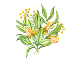 Spring bouquet with green transparent branches of leaves and flower buds. Yellow, orange flowers, bright leaves. Watercolor illustration for Valentines day, mothers day cards, invitations png