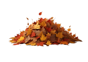 Pile of autumn maple tree leaf in png. AI Generative png