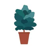 Vector isolated illustration with exotic Ficus lyrata in ceramic pot. Poster for professional guide about growing plants like fiddle leaf fig at home. Flat concept about care in garden