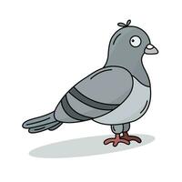Isolated vector funny colored urban pigeon with a contour on a white background for postcards, web design, stickers, posters.