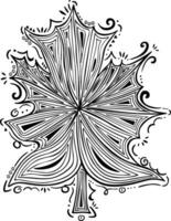 Artistic leaf in black line drawing illustration in the doodle style vector