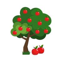 Vector illustration of an apple tree in flat style on a white background. Apple.