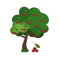 vector ilustración de un Cereza árbol en plano estilo en un blanco antecedentes. cereza.