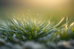 plant close up with greenery and dew drops background images wallpaper with Ai generated photo