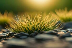 plant close up with greenery and dew drops background images wallpaper with Ai generated photo