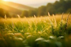 plant close up with greenery and dew drops background images wallpaper with Ai generated photo