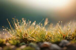 planta cerca arriba con verdor y Rocío gotas antecedentes imágenes fondo de pantalla con ai generado foto