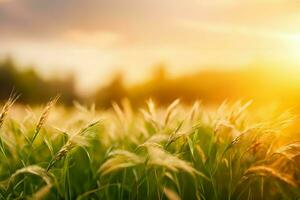 plant close up with greenery and dew drops background images wallpaper with Ai generated photo