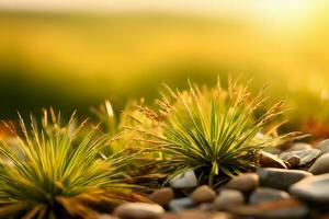 plant close up with greenery and dew drops background images wallpaper with Ai generated photo