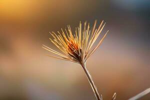 plant close up with greenery and dew drops background images wallpaper with Ai generated photo